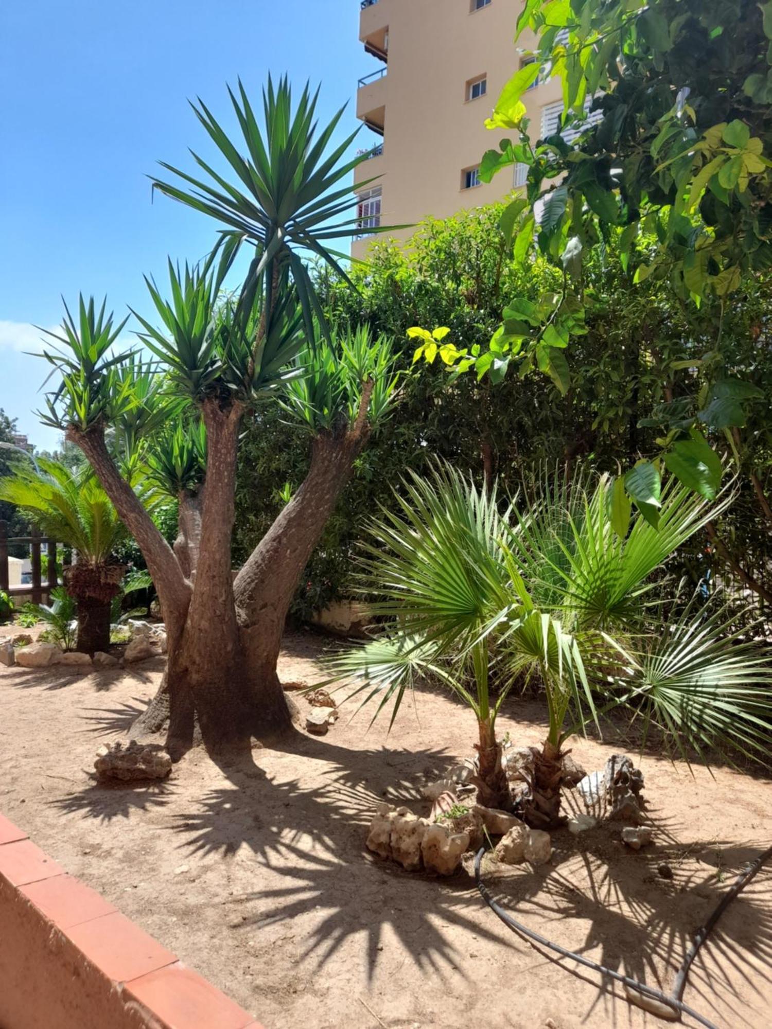 شقة Torremolinos Centro Beach المظهر الخارجي الصورة