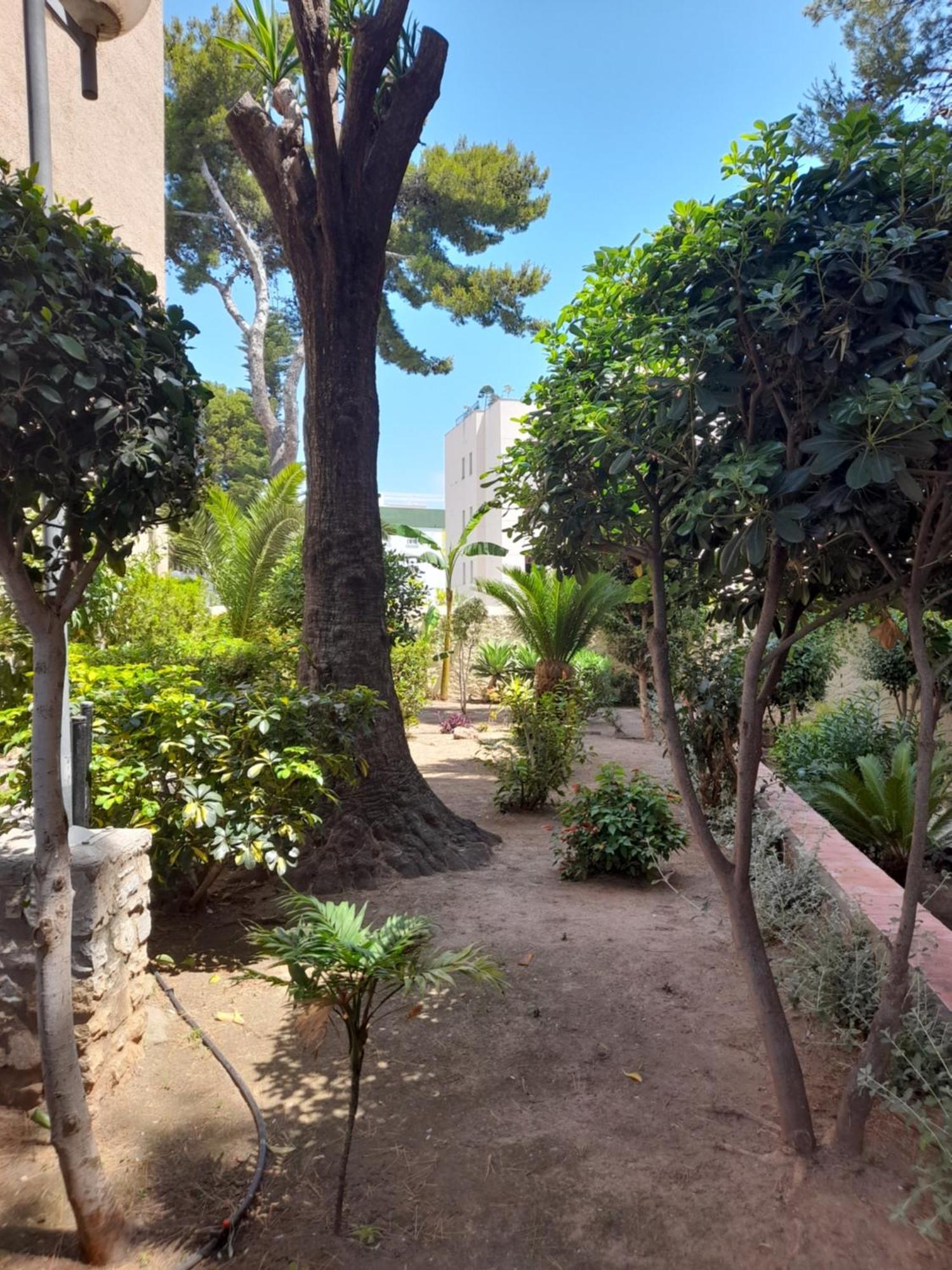 شقة Torremolinos Centro Beach المظهر الخارجي الصورة
